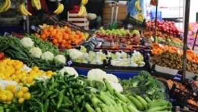 أسعار الخضراوات والفاكهة اليوم الاثنين 10-11-2025 في مصر.. استقرار نسبي بالسوق المحلي - إيجي بيزنس 699200975598202506030239423942 a6ccb6 - إيجي بيزنس